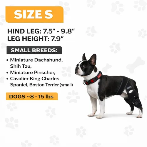 Miniatura 3 de Rodillera para perro – Soporte ajustable para pierna trasera para desgarro de ACL, dolor en las articulaciones, artritis y recuperación de lesiones.
