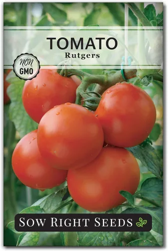 Sow Right Seeds - Semillas de tomate Rutgers para plantar - Paquete de reliquia sin OMG con instrucciones para plantar y cultivar un huerto en casa