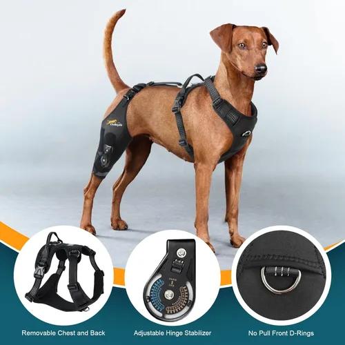 Miniatura 5 de Rodillera para perro para pierna trasera desgarrada de ACL con estabilizador de bisagra ajustable, soporte de espalda de perro para osteoartritis