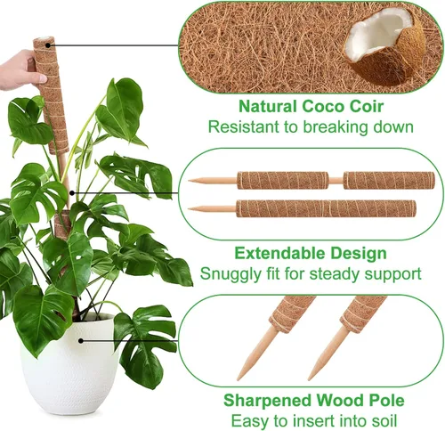 Miniatura 2 de GROWNEER Poste de musgo de 24 pulgadas para plantas de interior, 2 piezas de soporte de tótem de coco apilable de 15 pulgadas, palos de musgo con 15