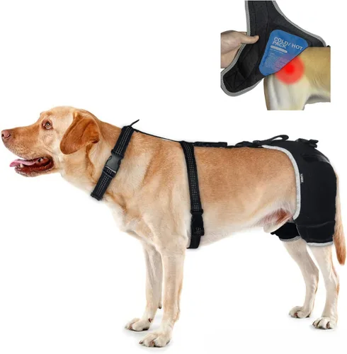 Soporte para la displasia de cadera para perros con paquete caliente/frío, transpirable y cómodo soporte de cadera para ligamento cruzado cruzado