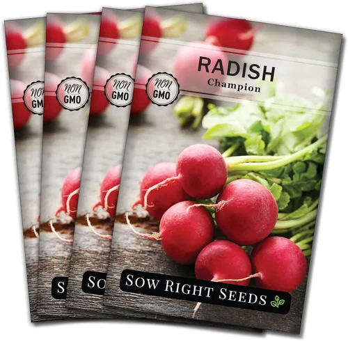 Miniatura 9 de Sow Right Seeds - Semilla de rábano Champion para plantar - Paquete de reliquia sin OMG con instrucciones para plantar un huerto casero - Cultiva