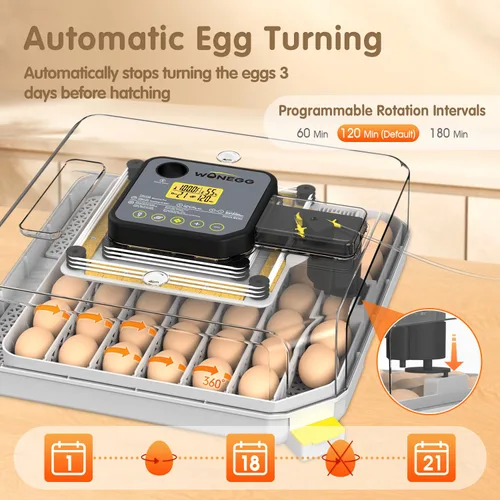 Miniatura 2 de Incubadoras para huevos para incubar huevos para granja de laboratorio con giro automático de huevos para pollo, patos, ganso, codorniz, 48 huevos