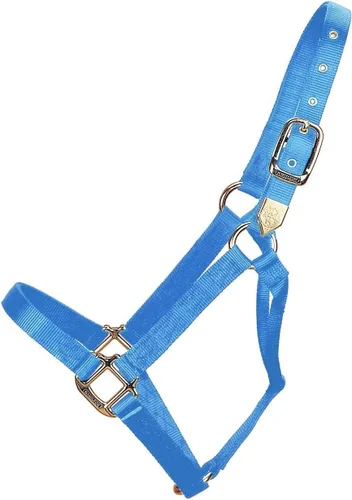 Miniatura 12 de Hamilton Caballo de nailon de 1 pulgada, tamaño pequeño (500-800 libras), azul baya