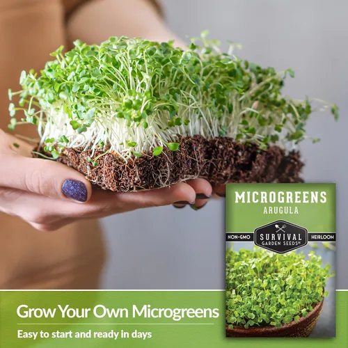 Miniatura 4 de 1 paquete de microgreens de rúcula para plantar y cultivar – Semilla para plantar microvegetales de hoja verde en interiores – Cultiva tu propio