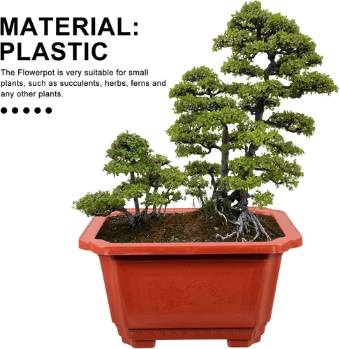 Miniatura 3 de ERINGOGO 10 macetas de entrenamiento para bonsái, 10 plantas bonsái, maceta rectangular de plástico con agujeros de drenaje, flor profunda grande