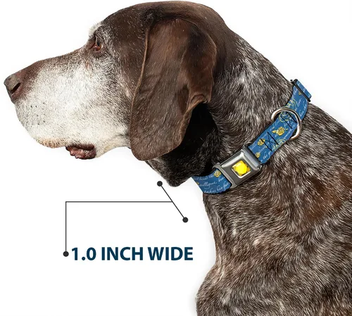 Miniatura 6 de Buckle-Down Collar de perro con hebilla de cinturón de seguridad, con texto de la historia de la Bella y la Bestia, 1 pulgada de ancho, se adapta a