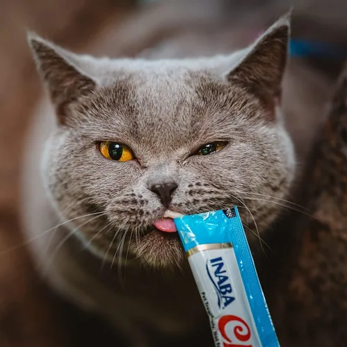 Miniatura 6 de INABA Churu Lickable Purée Golosinas naturales para gatos (paquete variado de atún y pollo, 16 tubos)