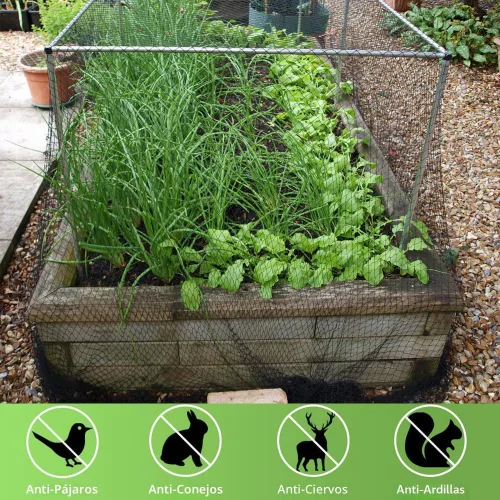 Miniatura 4 de Red para pájaros de 25 x 50 pies, 1 pulgada de malla resistente para jardín, barrera de plagas para plantas, árboles frutales, verduras, red