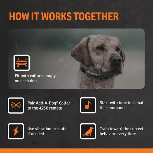 Miniatura 7 de SportDOG Brand WetlandHunter 425X - Collar estático de camuflaje para perro con control remoto y collar de perro Add-A-Dog – Entrenador remoto