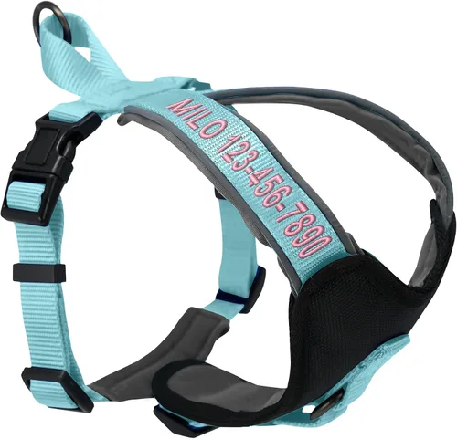 Miniatura 22 de Arnés para perro Pawtitas para entrenamiento de suave, ajustable, reflectante, acolchado para cachorros, Azul