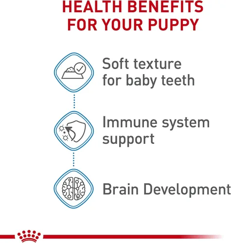 Miniatura 4 de Royal Canin Size Health Nutrition - Alimento para perros grandes en rodajas finas en salsa, 13 onzas (paquete de 6)