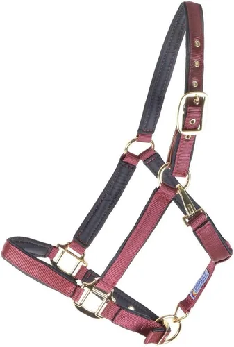Miniatura 10 de Dura-Tech Cabestro de caballo totalmente acolchado de lujo Superposición de tela de nailon de doble capa de 1 pulgada Hardware resistente
