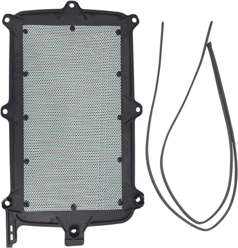 Miniatura 4 de Honda Talon 1000 Filtro de Aire OEM 17215-HL6-A00