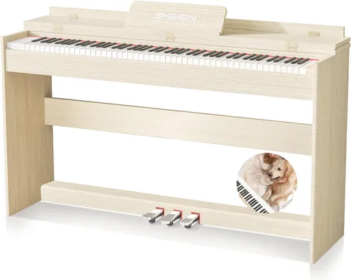 Piano Digital de Acción de Martillo con Teclado de 88 Teclas, Piano Eléctrico Acústico Vertical, Piano Pesado para Principiantes, MIDI, Cobertura