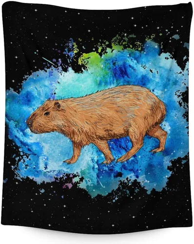 Miniatura 13 de Mantas temáticas de animales para niños, tamaño regazo de 30 x 40 pulgadas, manta de felpa suave y peluda para regalo, mantas negras para cama, sofá