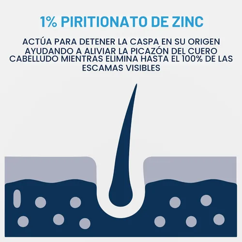 Miniatura 9 de CeraVe Champú Hidratante Anticaspa, Tratamiento de Caspa con Zinc Piritiona al 1% con Ceramidas, Niacinamida y Ácido Hialurónico, Ayuda a Eliminar