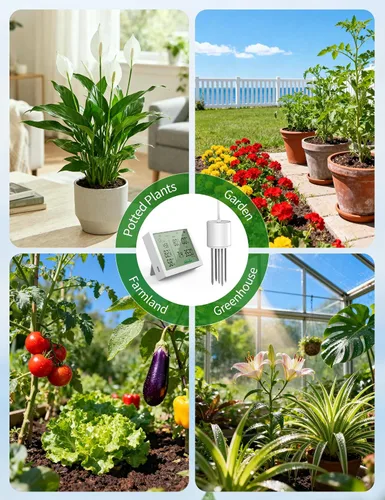 Miniatura 6 de 7 in 1 Soil Meter, Digital Soil Test Kit of PH/Sunlight/Fertility/Soil & Air Temp, Humidity Meter for Indoor & Outdoor Plant, Growing Environment