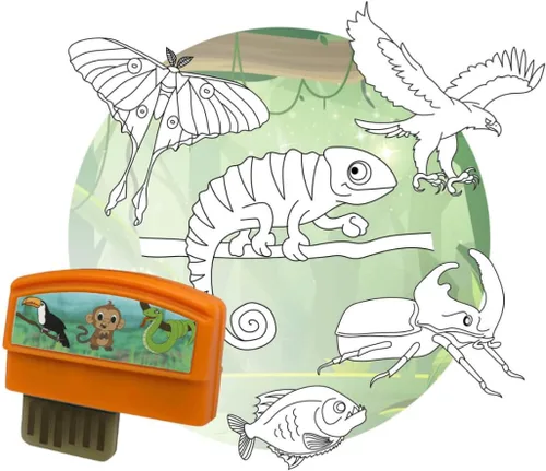 Miniatura 5 de Flycatcher Smart Sketcher 2.0 Cartucho – Todos los deportes – Más de 50 actividades paso a paso – Paquete de expansión para niños a partir de 5 años