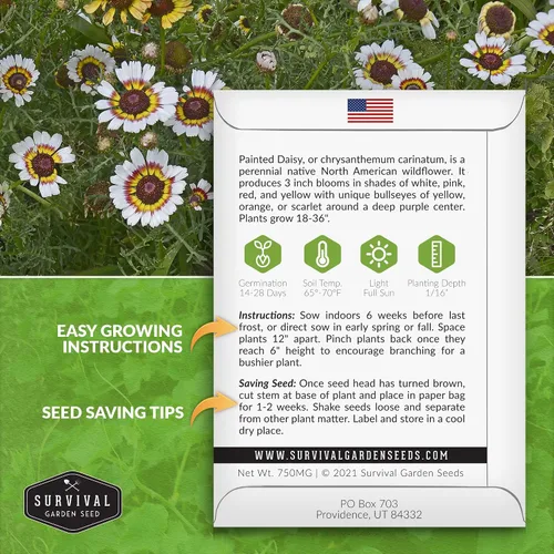 Miniatura 2 de 1 paquete de semillas de margaritas pintadas para plantar con instrucciones para cultivar flores silvestres perennes coloridas en el jardín