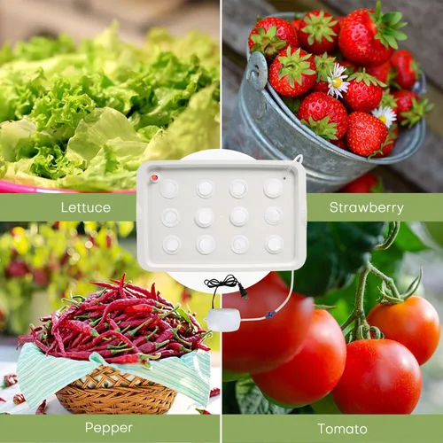 Miniatura 5 de NATGAI Kit de cultivo de sistema hidropónico con bomba de aire, 12 agujeros, caja de cultivo sin suelo, caja de jardín para hierbas, lechuga