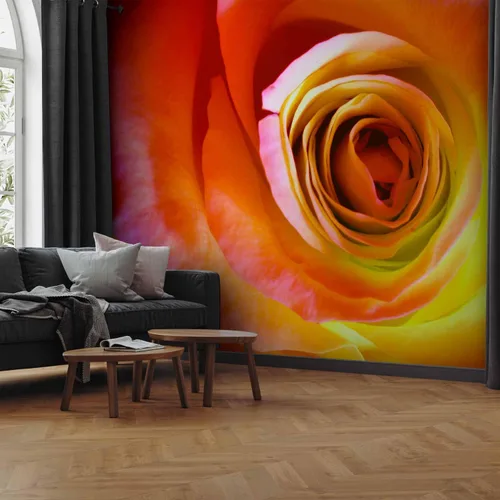 Miniatura 2 de artgeist Mural de pared Rosa de 157 x 122 pulgadas - Papel tapiz no tejido XXL, decoración de pared de forro polar, impresión fotográfica, diseño
