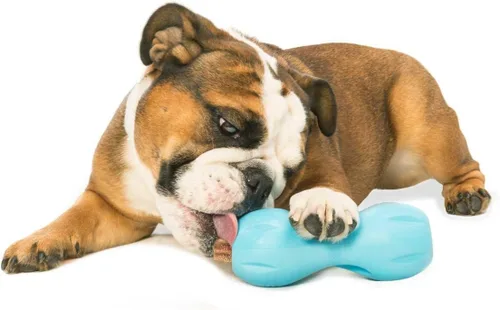 Miniatura 4 de West Paw Design, Juguete para perro Qwizl Aqua Pequeño