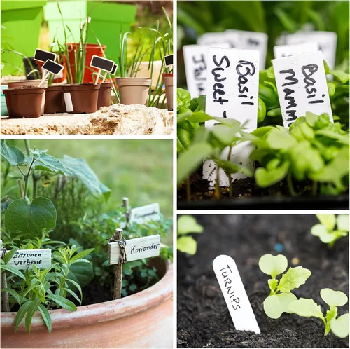 Miniatura 9 de Mr. Pen - Marcadores de jardín, negro, paquete de 4, marcadores de plantas, marcadores de jardín para plantas al aire libre, impermeables