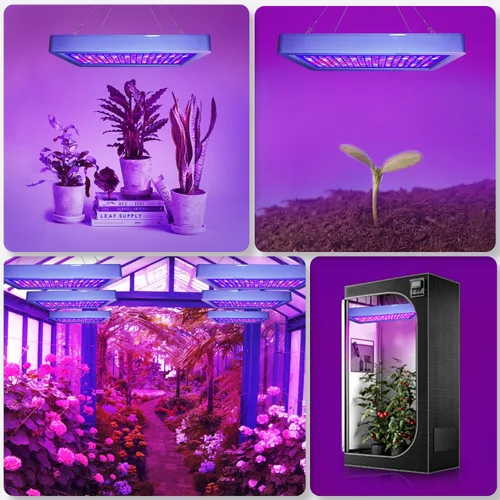 Miniatura 7 de B1500W Luz de Crecimiento LED para Plantas Ajustable, Las Mejores Luces de Crecimiento para Plantas de Interior de Espectro Completo, Semillas
