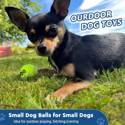 Miniatura 2 de INSUM Pelotas de tenis para perros, paquete de 12 unidades, 2.0 pulgadas, duraderas, no tóxicas, para exteriores, con bolsa de malla, certificado