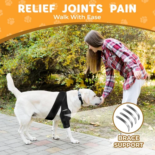 Miniatura 4 de Rodillera para perro para luxación de rótula, ligamento cruzado anterior o ligamento cruzado, osteoartritis, displasia de cadera o alivio del dolor
