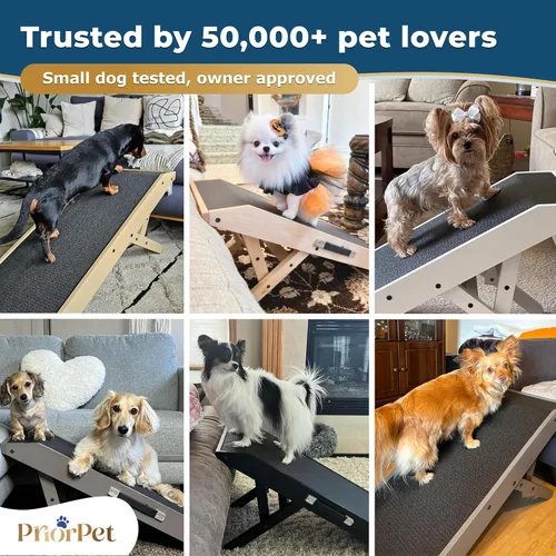 Miniatura 8 de Rampa para perros para sofá – Antideslizante, construcción resistente plegable rampa para perros – Soporta hasta 200 libras – Ajustable de 7'' a Gris