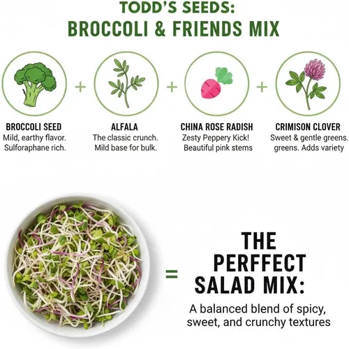 Miniatura 5 de Broccoli and Friends Mezcla de brotes de semillas, una libra