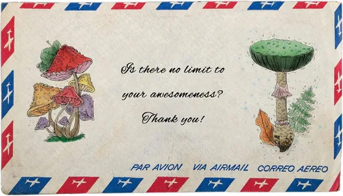 Miniatura 4 de Sellos transparentes de hongos para hacer tarjetas y decoración de álbumes de fotos, hojas de flores, palabras, sellos de goma transparente, sello