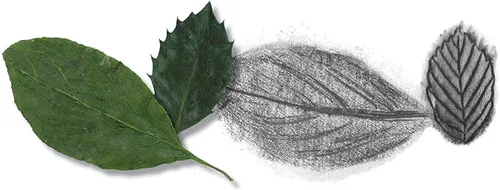 Miniatura 4 de Faber-Castell – Kit de dibujo y boceto para niños – Artesanías premium para niños