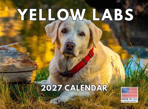 Miniatura 97 de Calendario de pared mensual 2025 Great Dane de 12 meses, fabricado en Estados Unidos
