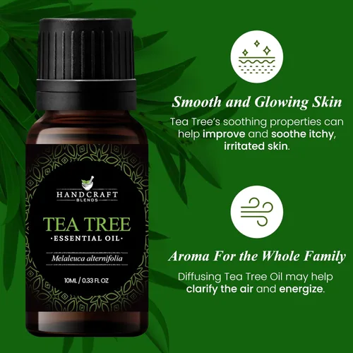 Miniatura 3 de Handcraft Blends - Aceite esencial de árbol de té 100 % puro y natural, aceite de alta calidad para difusor y aromaterapia, 0.33 onzas líquidas
