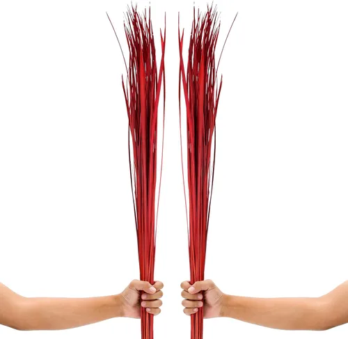 Miniatura 18 de Leewadee Relleno de Jarrón Alto, Tallos de Hierba Natural – 2 Manojos de Ramas de Colores para Jarrones, Ramitas Cuidadosamente Secas para Burdeos