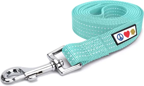 Correa para perro Pawtitas color teja de 6 pies M/L reflectante, duradera y ligera para perros medianos o grandes y cachorros Teal Reflective