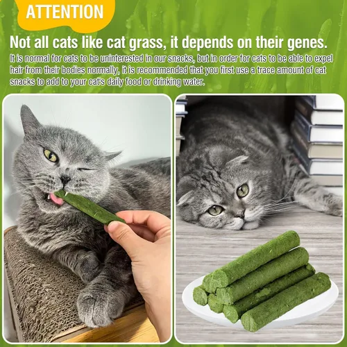 Miniatura 4 de Palillo de dentición de hierba para gatos, palo de hierba de gato enlatado para gatos de interior, gatos trata alivio de bolas de pelo y limpieza