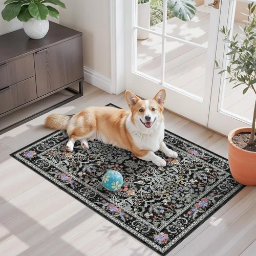 Miniatura 123 de Alfombra antideslizante lavable de 2 x 3 pies - Alfombra suave de pelo bajo para cocina, entrada y dormitorio - Tapete moderno para puerta