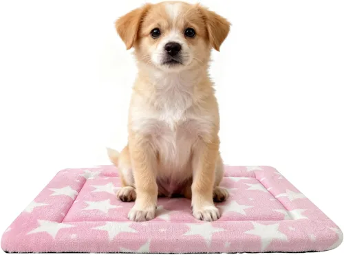 Miniatura 14 de Cama para Perros Lavable de Felpa Ortopédica para Exteriores, Alfombrilla para Jaula con Fondo Antideslizante, Almohadilla Suave de Lujo
