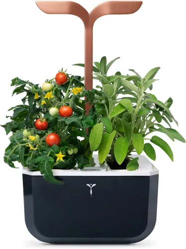 Miniatura 7 de Jardín interior inteligente de Véritable® - Exky Smart Arctic White - 2 lingots® incluidos