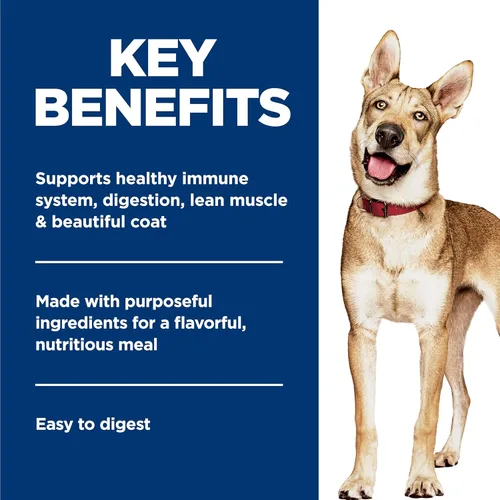 Miniatura 4 de Comida enlatada guisada dietética para perros Hill's Science, 12.5 onzas, paquete de 12, Adulto