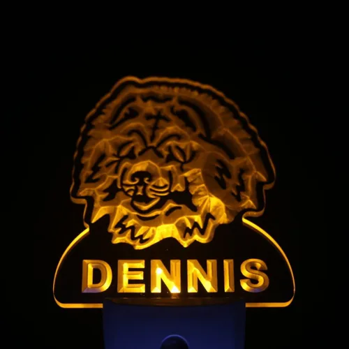 Miniatura 4 de AdvPro ws1062-tm Chow Chow Dog - Luz nocturna personalizada con nombre y sensor de día/noche