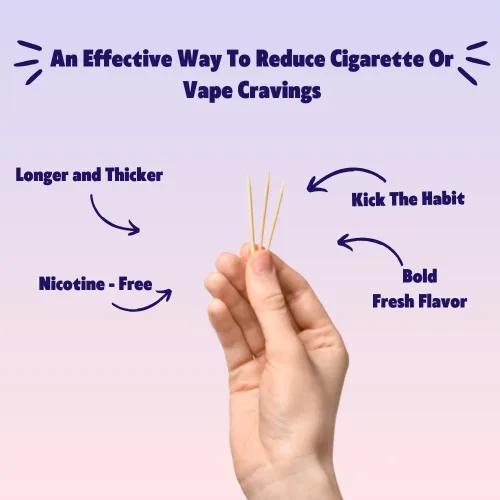 Miniatura 2 de QuitPix - Palillos de dientes con sabor prémium con infusión para ayudar a dejar de fumar, sin nicotina, sin OMG, Kosher Vegan Cool Mentol 40 Cool