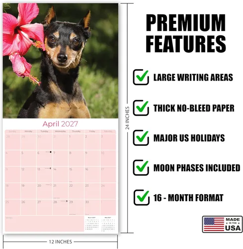 Miniatura 4 de Calendario 2025-2026 de Pinscher en miniatura - Calendario mural mensual de raza de perro - 12" x 24" abierto - Papel grueso sin sangrado - Regalo