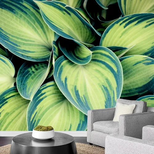 Miniatura 42 de wall26 serie Wall Mural Papel de empapelar autoadhesivo, grande., WMR-WP-X-D986-66x24x4