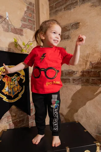 Miniatura 4 de Harry Potter Gryffindor Slytherin Hufflepuff Ravenclaw - Paquete de 2 pantalones deportivos de forro polar para niños pequeños a grandes