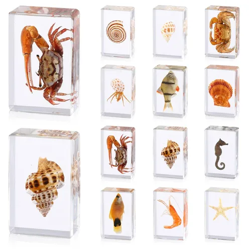 Miniatura 6 de 12 piezas de insectos de mariposa en resina colección de insectos, 12 estilos, kit de insectos reales preservado en resina para suministros
